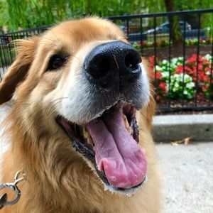 Meet your Posher, Macey